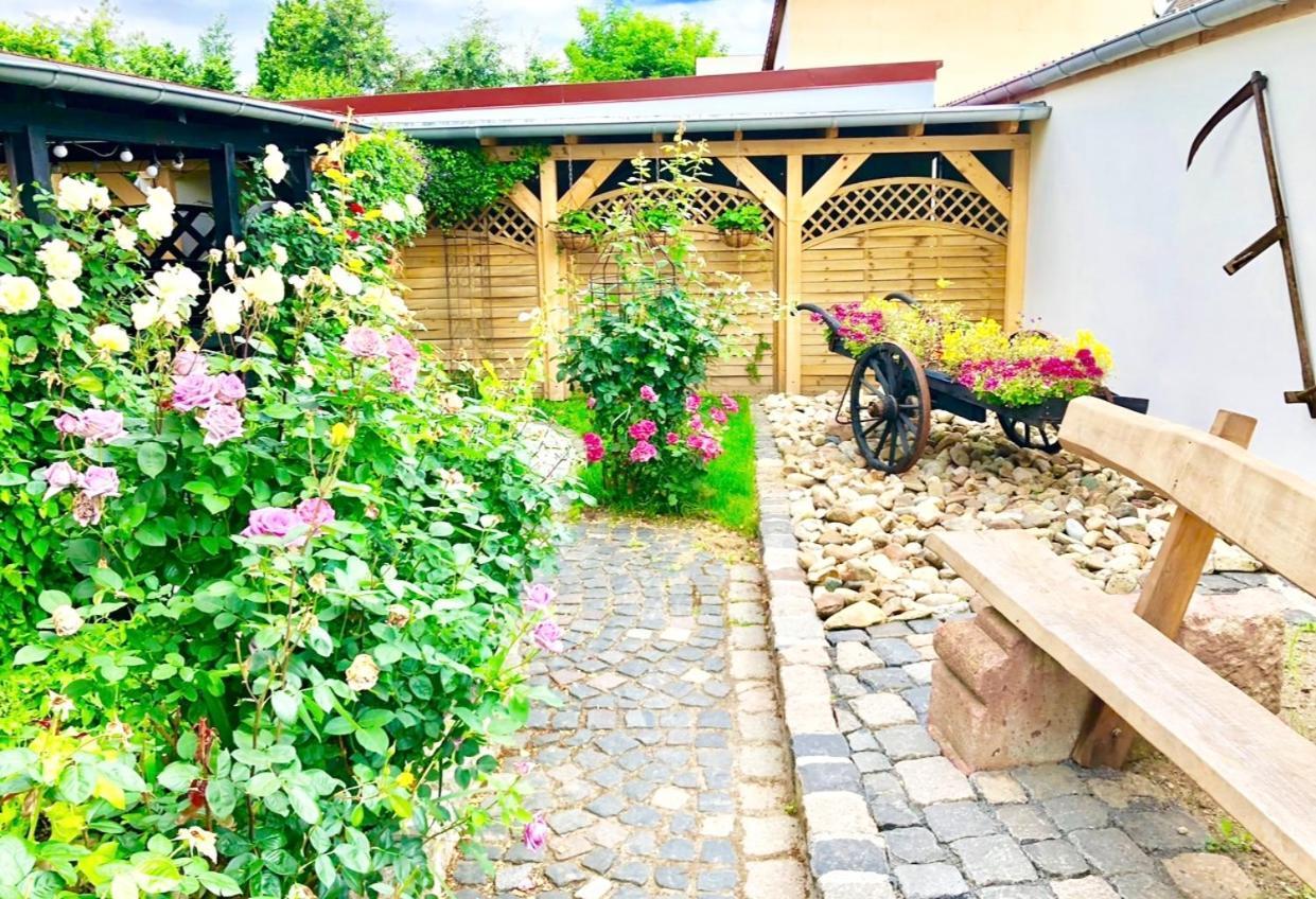 Ferienwohnungen Grimma 4 Exterior photo